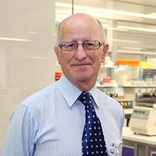 Professor Stephen Ackland | Co-Director of the HMRI Cancer Research Program