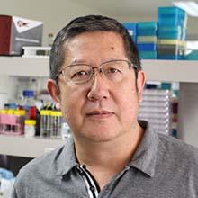 Professor Xu Dong Zhang - HMRI Cancer Program Leader