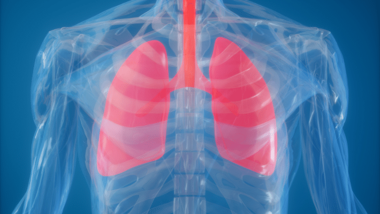 Researchers discover why viral infections are worse in Chronic Obstructive Pulmonary Disease sufferers