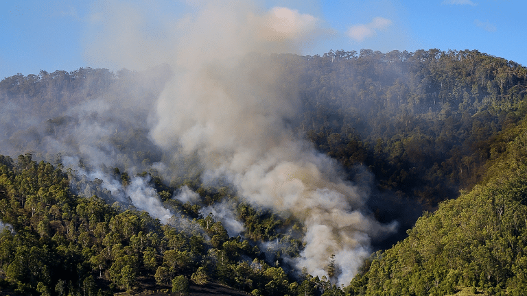 Researchers are investigating the impact of bushfire smoke on the heart and lungs