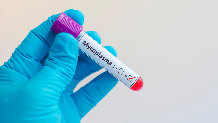 So what is mycoplasma?