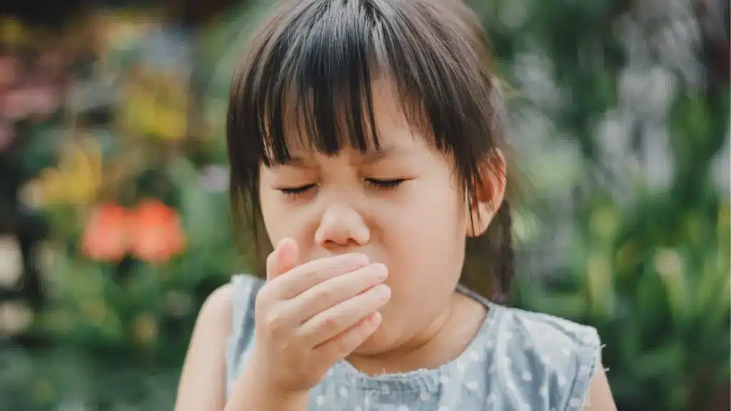 Understanding the 2024 spike in whooping cough 