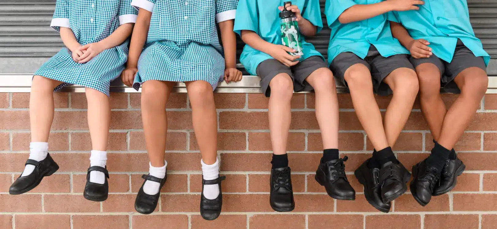 Get back to school ready with tips from HMRI researchers
