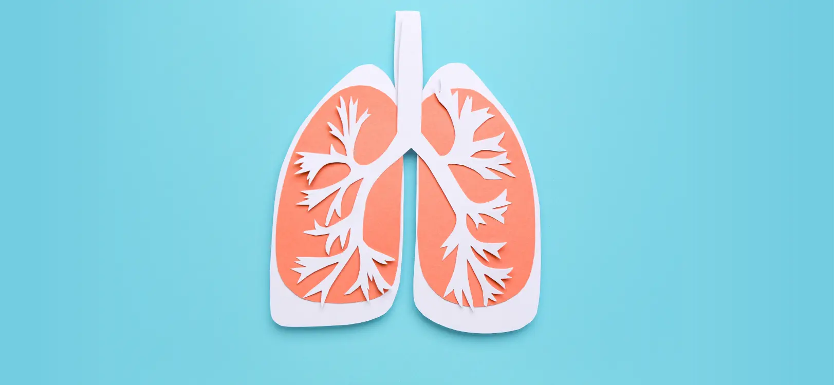 New Study Trials Quicker, Easier Tests to Detect Lung Disease Sooner in Coal Workers | HMRI