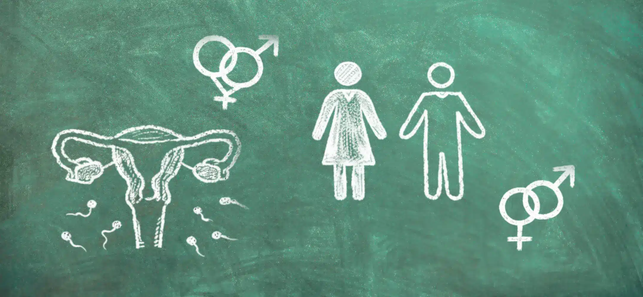 New research reveals gaps in sex education and impact on young Australians’ health