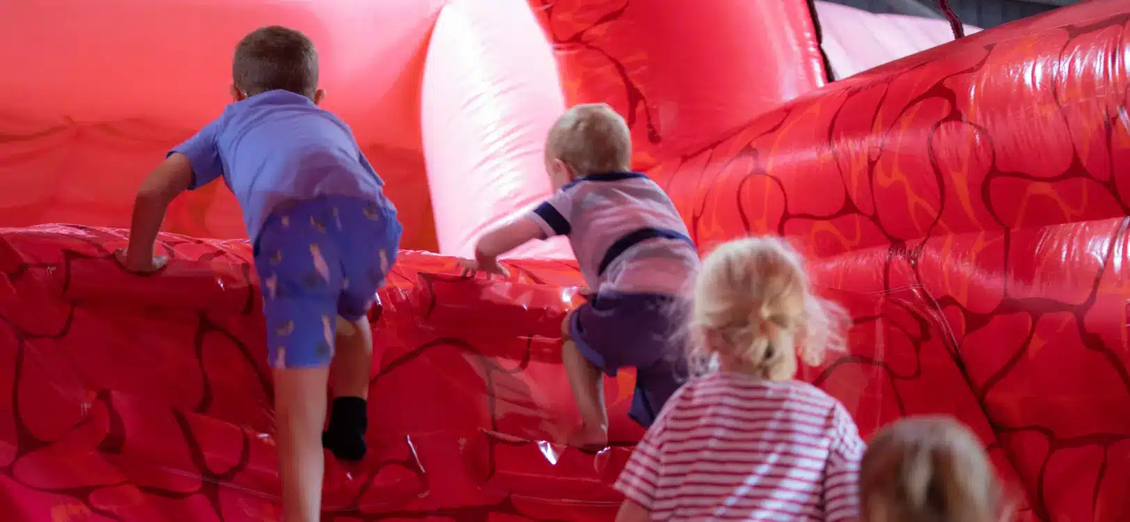 Discover the wonders of the human body at HMRIs Poo Palace for Science Week 3